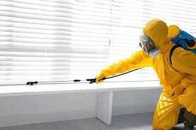 Best Pest Exclusion Services  in South Padre Island, TX